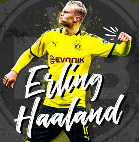 帕尔梅拉斯 帕尔梅拉斯