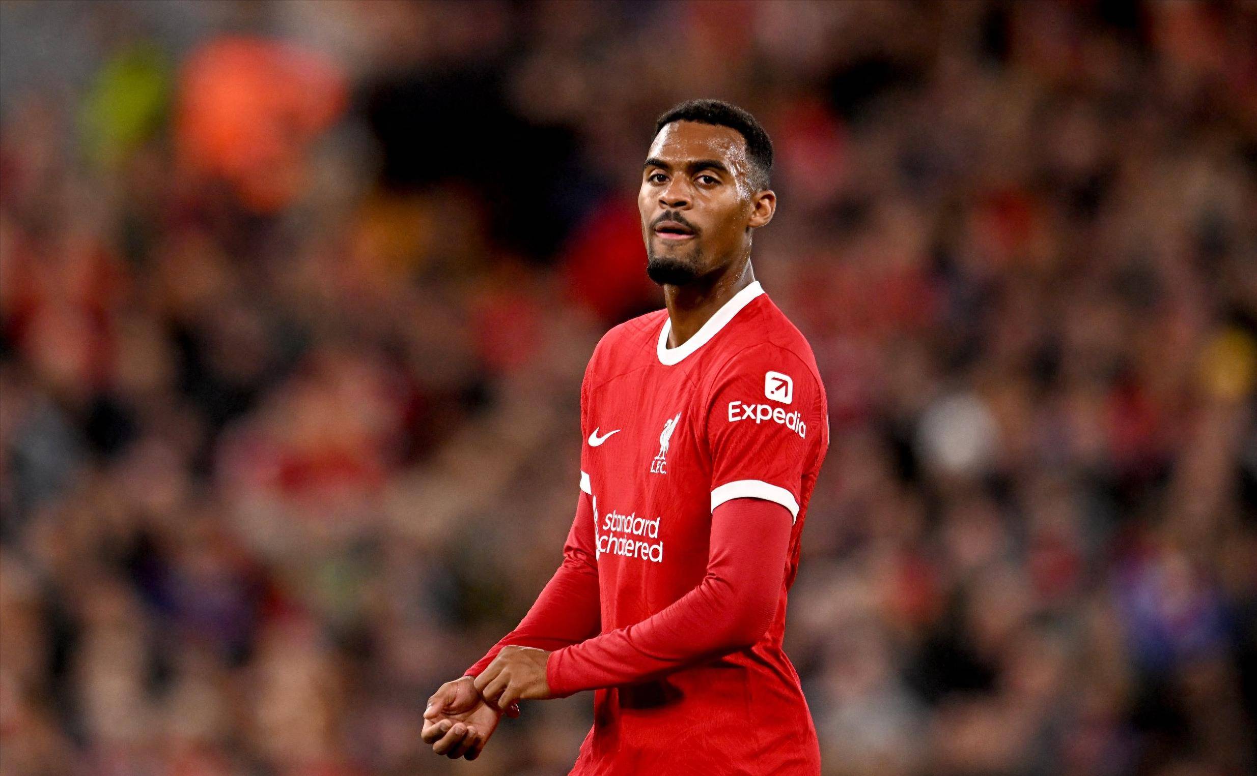 新星中锋 新星中锋