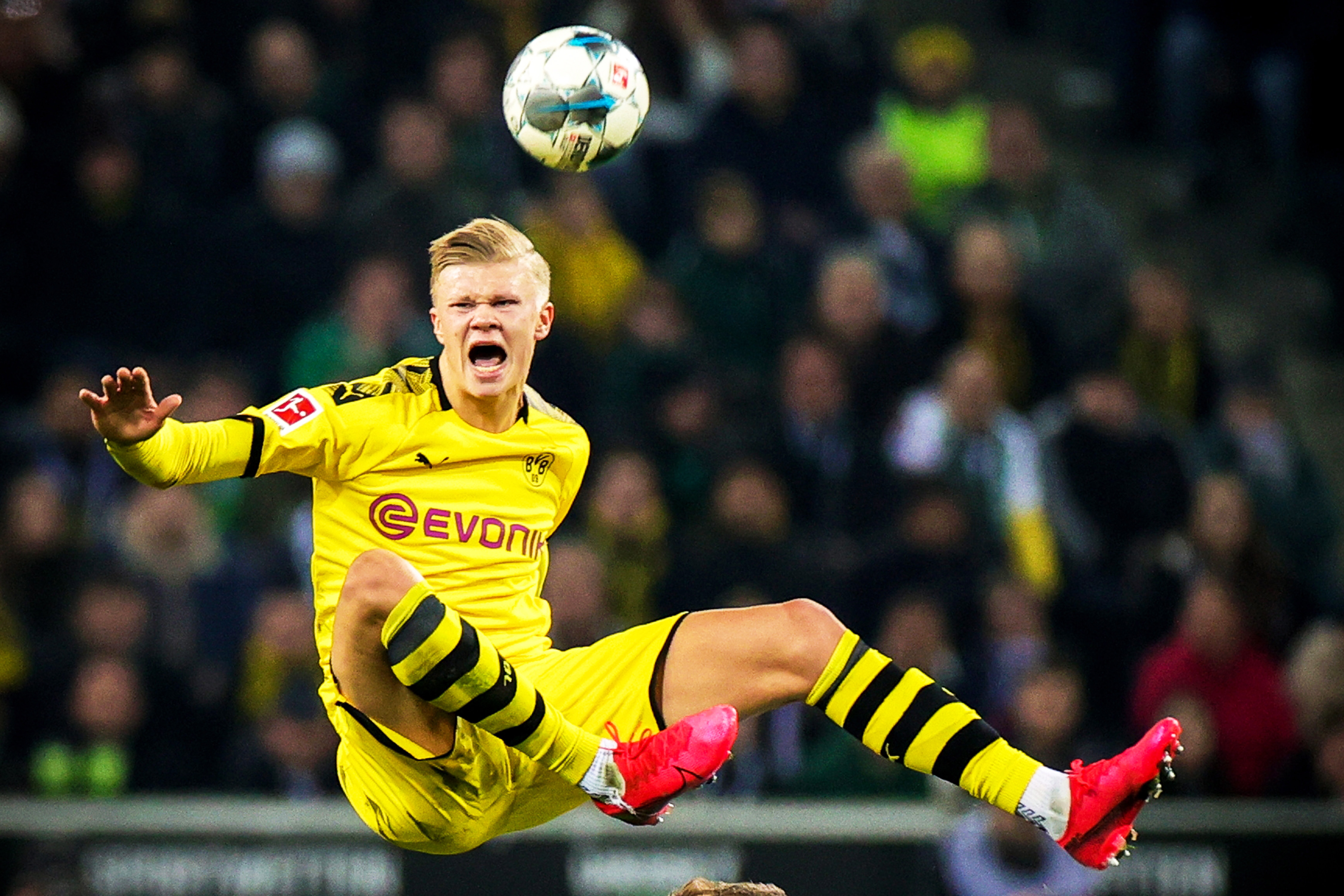 资本与内容 资本与内容